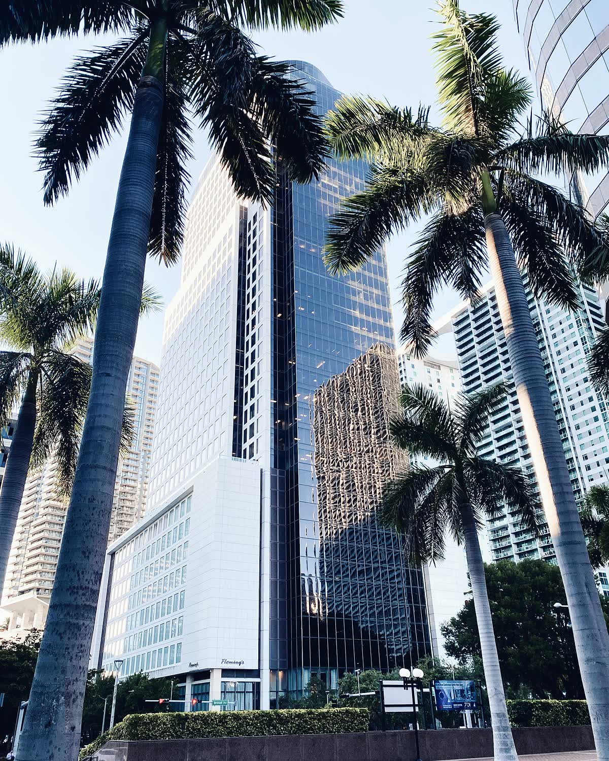 Palms and glass towers in Miami under a blue sky